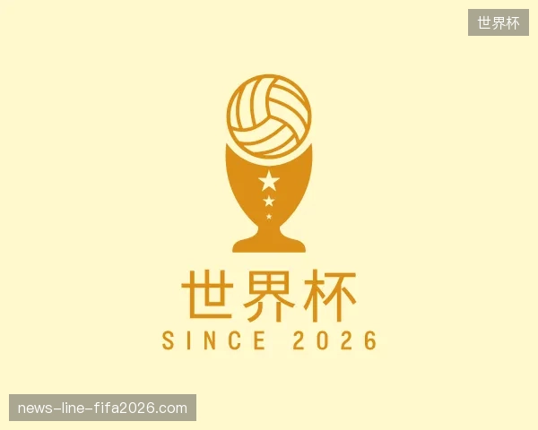 解读世界杯中国官网